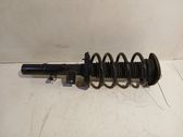 Front shock absorber/damper