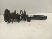 Front shock absorber/damper