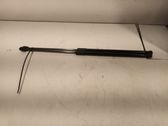 Tailgate/trunk strut/damper