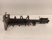 Rear shock absorber/damper