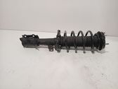 Front shock absorber/damper
