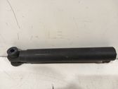 Tailgate/trunk strut/damper