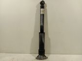 Rear shock absorber/damper