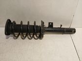Front shock absorber/damper