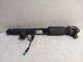 Rear shock absorber/damper