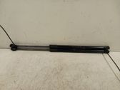 Tailgate/trunk strut/damper