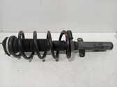Front shock absorber/damper
