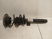 Front shock absorber/damper