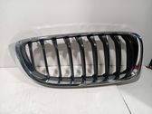 Front grill