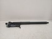 Tailgate/trunk strut/damper