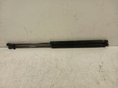 Tailgate/trunk strut/damper