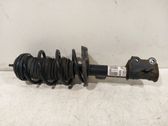 Front shock absorber/damper