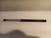 Tailgate/trunk strut/damper