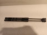 Front bonnet/hood damper/strut