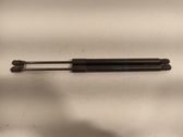 Tailgate/trunk strut/damper