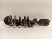 Front shock absorber/damper