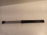 Tailgate/trunk strut/damper