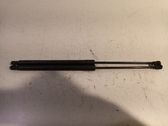 Tailgate/trunk strut/damper