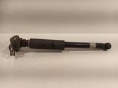 Stoßdämpfer hinten