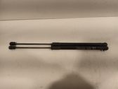 Tailgate/trunk strut/damper