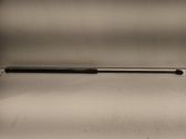 Tailgate/trunk strut/damper