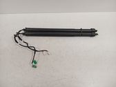 Tailgate/trunk strut/damper