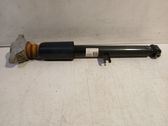 Rear shock absorber/damper