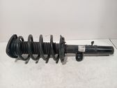 Front shock absorber/damper