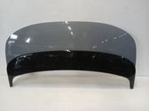 Motorhaube