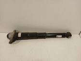 Stoßdämpfer hinten