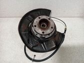Rear wheel hub