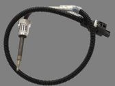 Ansaugluftsensor