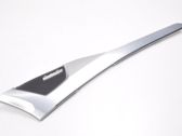 Front door trim (molding)