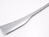Front door trim (molding)
