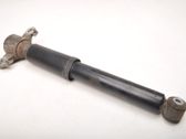 Rear shock absorber/damper