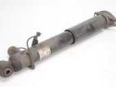 Rear shock absorber/damper