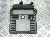Engine control unit/module ECU