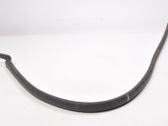 Rubber seal front door (on door)