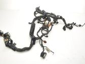 Engine installation wiring loom