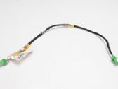 Sound system wiring loom