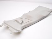 (A) pillar trim