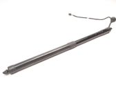 Tailgate strut