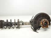 Front shock absorber/damper