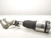 Front shock absorber/damper