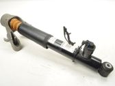 Rear shock absorber/damper