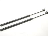 Front bonnet/hood damper/strut