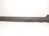 Front sill (body part)