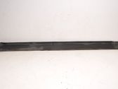 Front sill (body part)