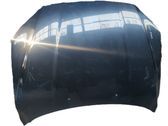 Engine bonnet/hood