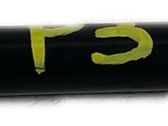 Tailgate/trunk strut/damper